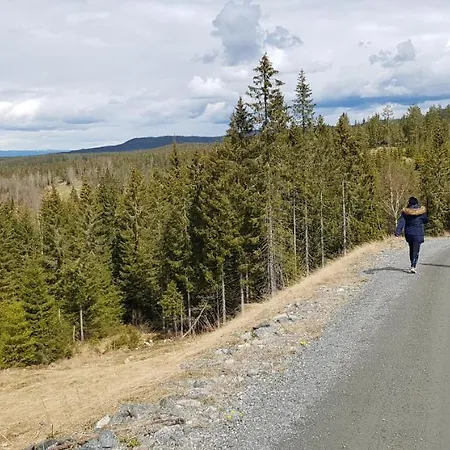 Mjoshytte 빌라 Stange