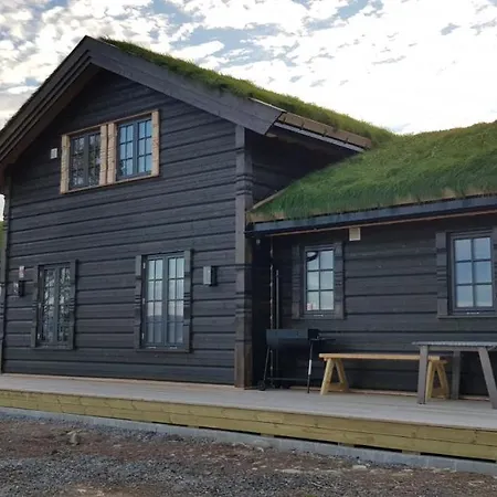 Villa Mjoshytte Stange