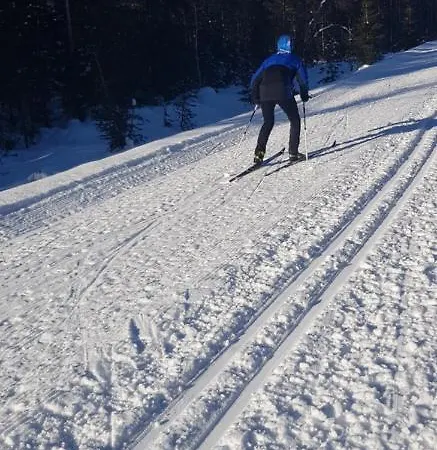 Mjoshytte Villa Stange