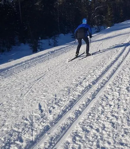 Mjoshytte Villa Stange